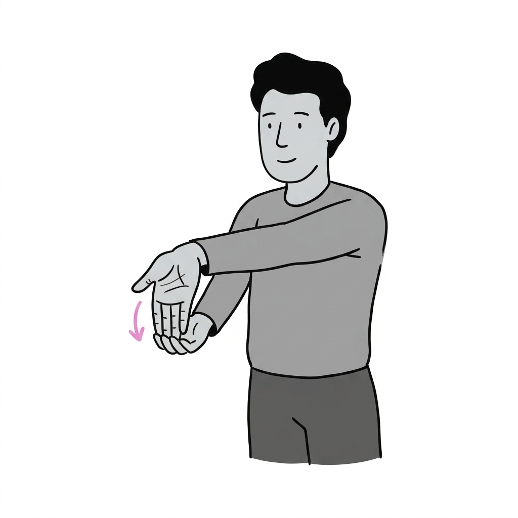 Illustration of wrist flexor stretch